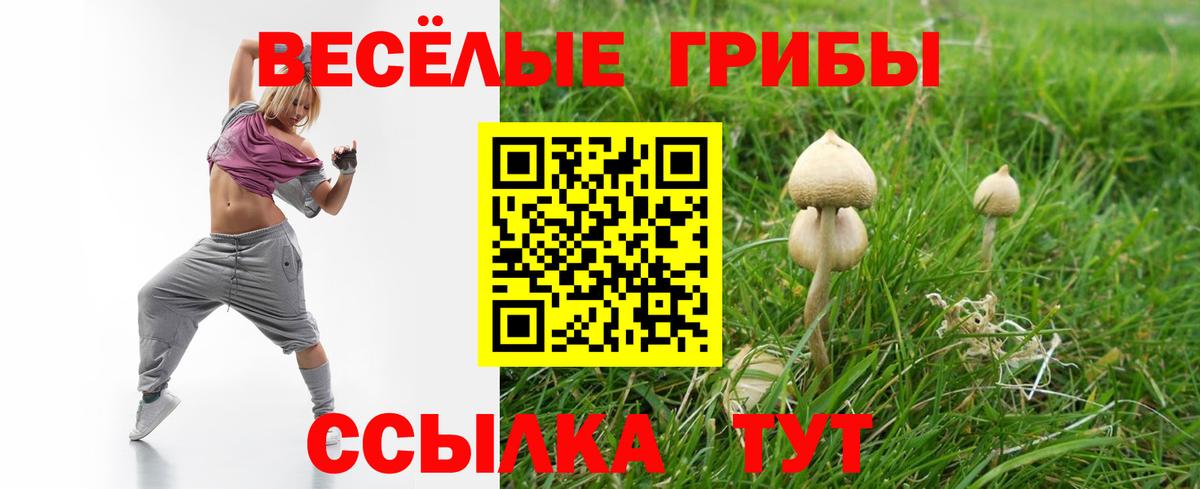Псилоцибиновые грибы Psilocybine cubensis  Псилоцибиновые грибы MAGIC MUSHROOMS  Вход с VPN  Нурлат 