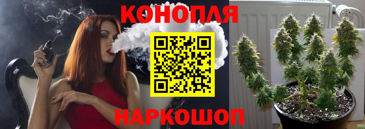 Шишки марихуана OG Kush Нурлат